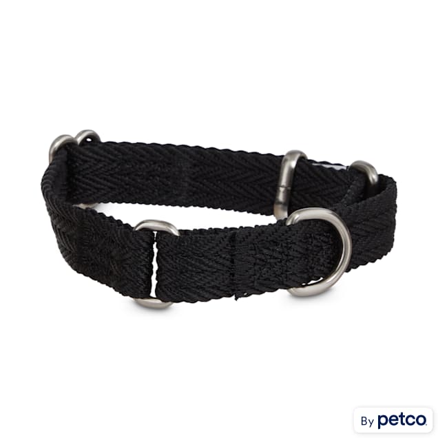 Good2Go Black Martingale Dog Collar, X-Small - Carousel image #1