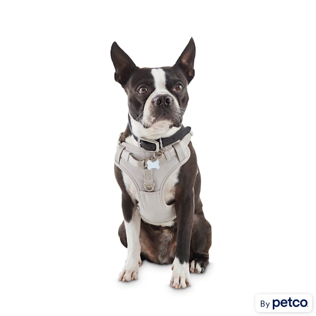 Good2Go Grey Padded Step-In Dog Harness, X-Small - Carousel image #1