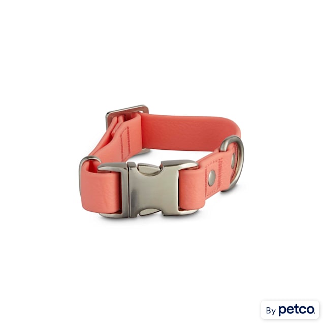 Reddy durable clearance dog collar