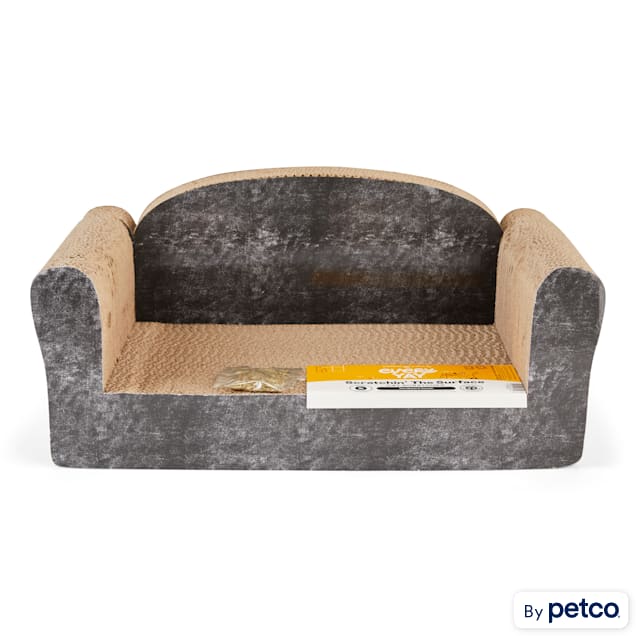 Petco cat couch shop
