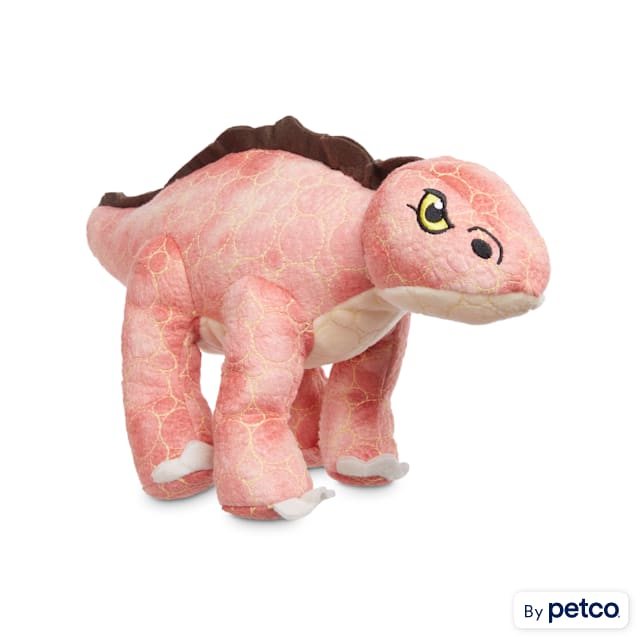 Leaps & Bounds Ruffest & Tuffest Stegosaurus Tough Plush Dog Toy with  Kevlar Stitching, Medium