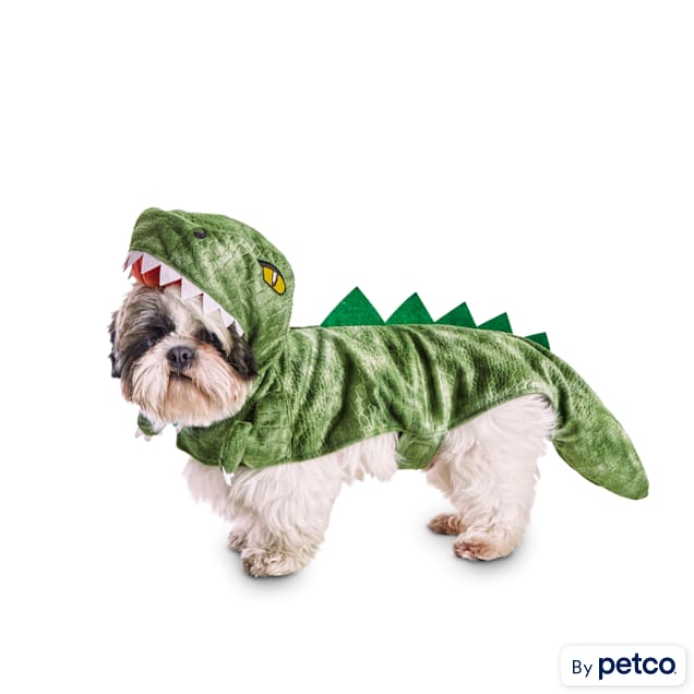 Large dog dinosaur costume clearance