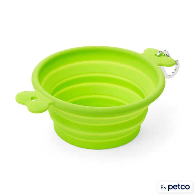 Collapsible dog bowl petco cheap