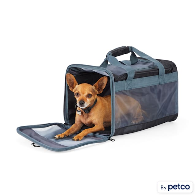 EveryYay Places To Go Black Pet Carrier, Small