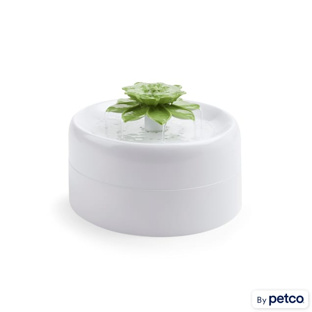 Catit flower fountain petco 2025