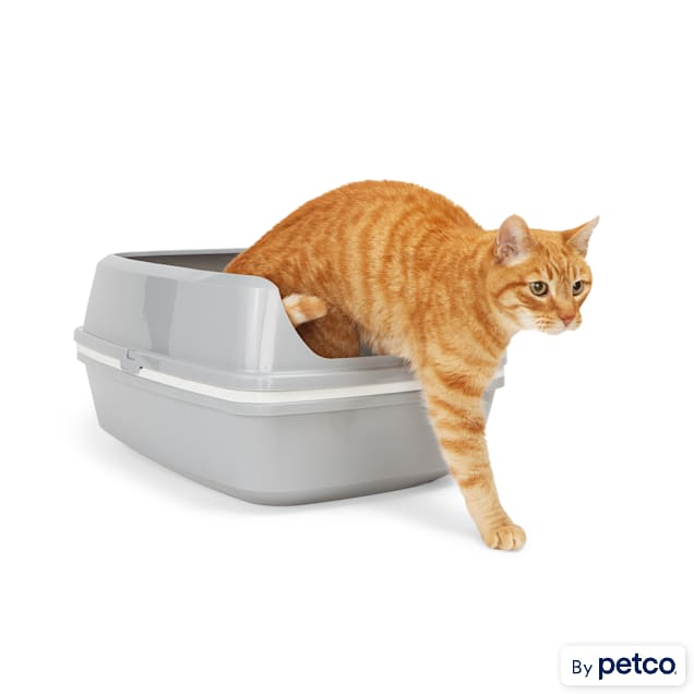 So Phresh Grey & White LifttoSift Cat Litter Pan, 19.75" L Petco
