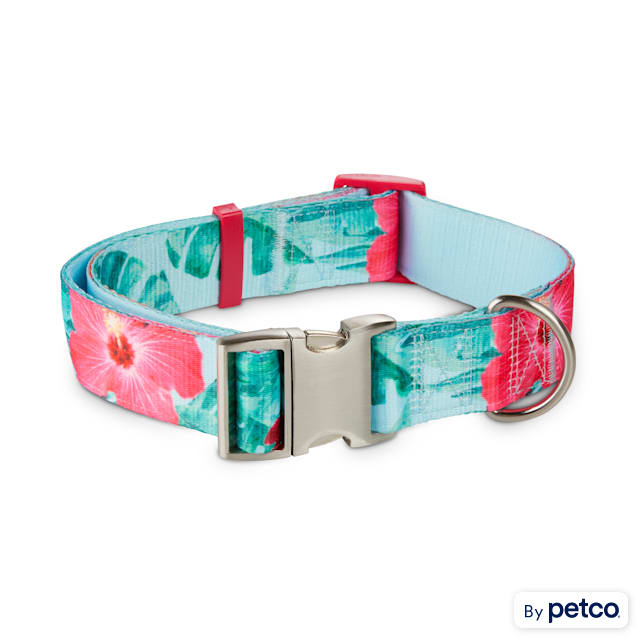 Petco dog sales collars