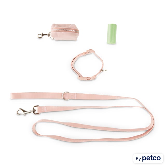 Bond and co dog leash outlet