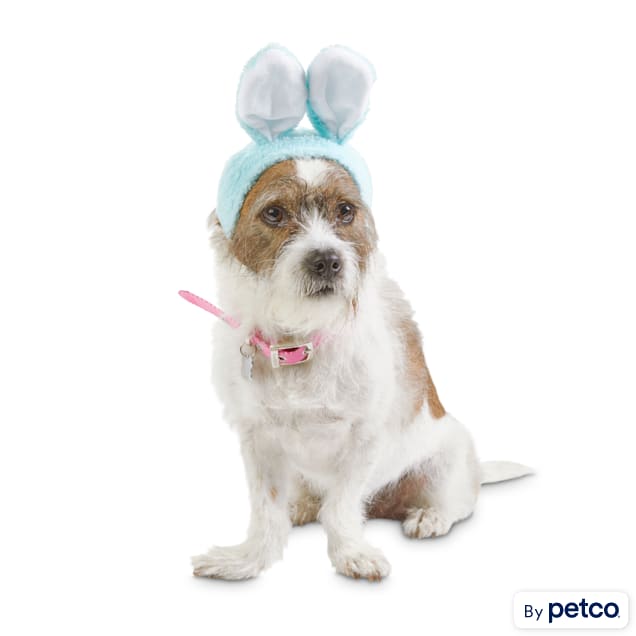 Bond & Co. Blue Bunny Bonnet Pet Cap, X-Small/Small | Petco