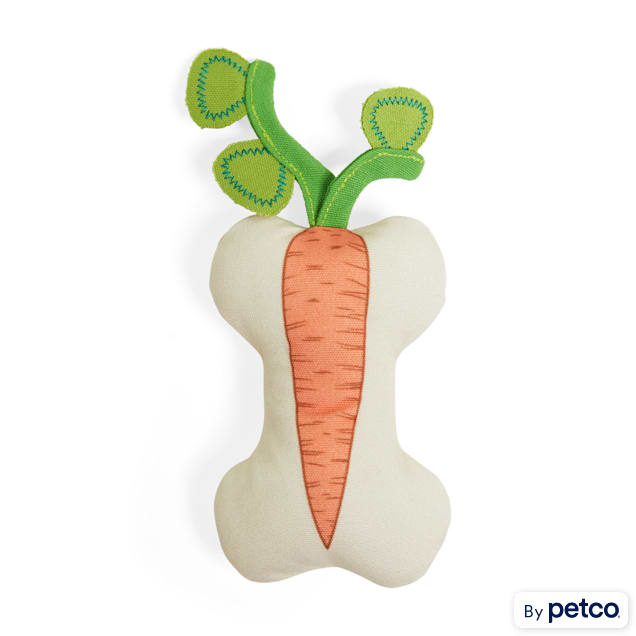 Bond & Co. Started As A Bottle Recycled & Reinvented Captivating Carrot Plush Dog Toy, Medium - Carousel image #1