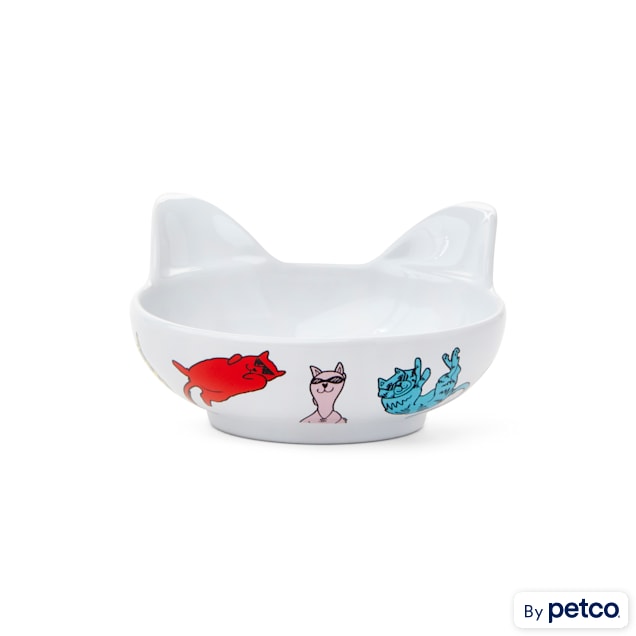 Bobs skechers cattitude store