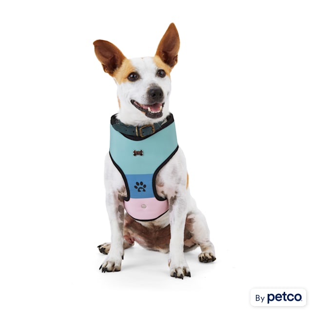 BOBS Skechers Loverboy Reversible Medium Dog Harness