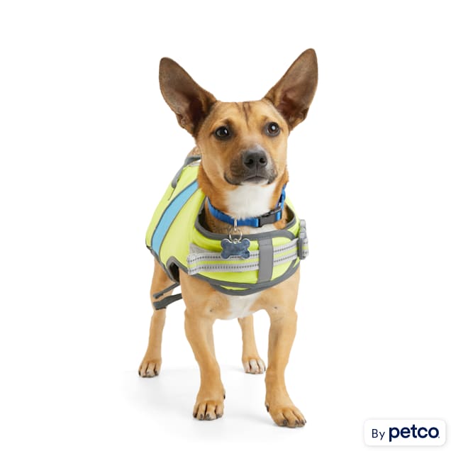 Dog training bells petco top