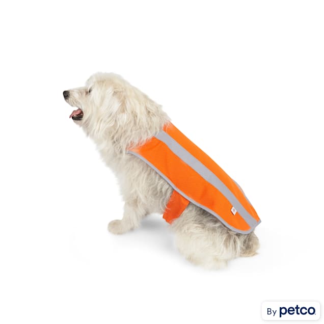 YOULY The Protector Dog Safety Vest, Small/Medium - Carousel image #1
