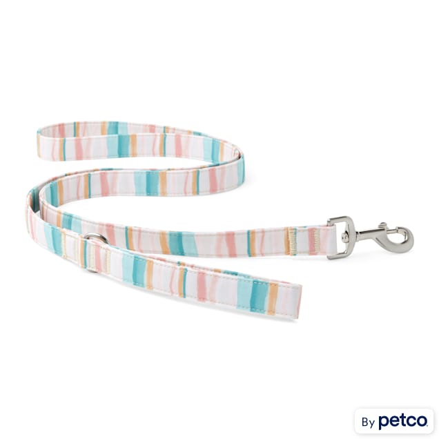 YOULY The Adventurer Multicolor Watercolor Striped Dog Leash, 6 ft. | Petco