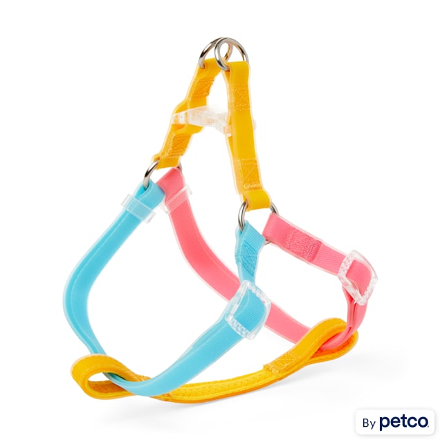 YOULY The Extrovert Water Resistant Colorblocked Dog Harness