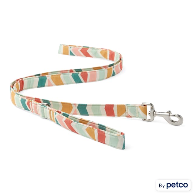 YOULY The Wanderer Rainbow Striped Dog Leash, 6 ft. - Carousel image #1