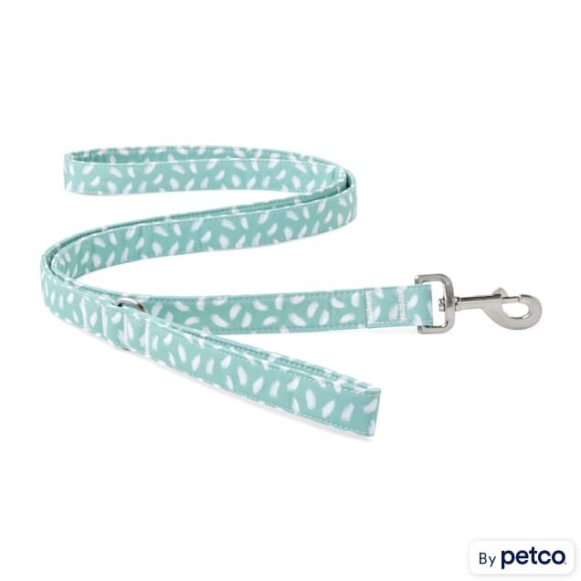 YOULY The Artist Green & White Brushstroke-Print Dog Leash, 6 ft. | Petco