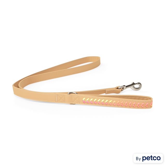 YOULY The Extrovert Tan Rainbow Braided Dog Leash 6 ft