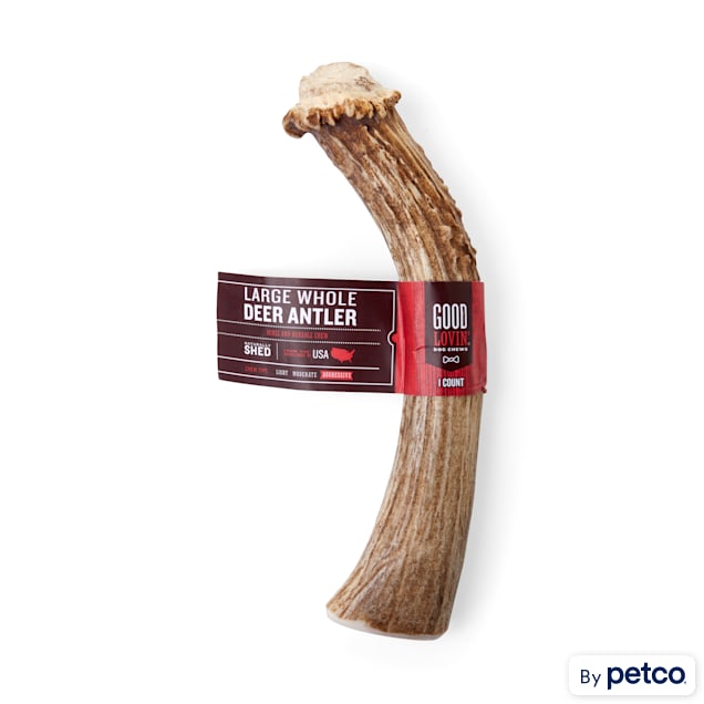Good Lovin' Naturally Shed Whole Deer Antler Dog Chew - Carousel image #1