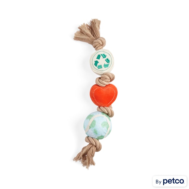 YOULY Started As A Bottle Recycled & Reinvented Earth Day Love Plush & Rope Dog Toy, Large - Carousel image #1