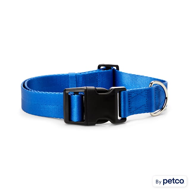 YOULY The Classic Blue Webbed Nylon Dog Collar, Small