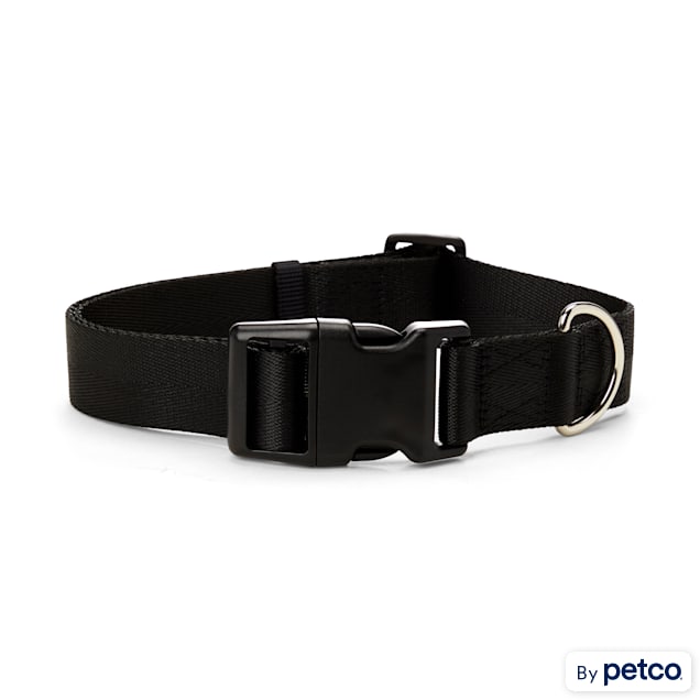 Black Dog collar