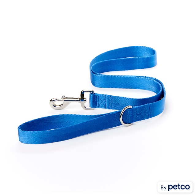 Hands free leash petco sale