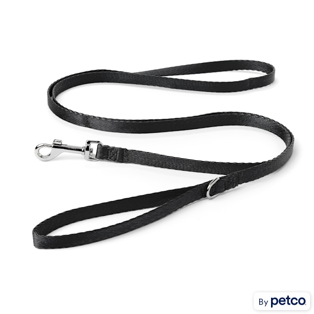 Nylon leash for dogs petco sales