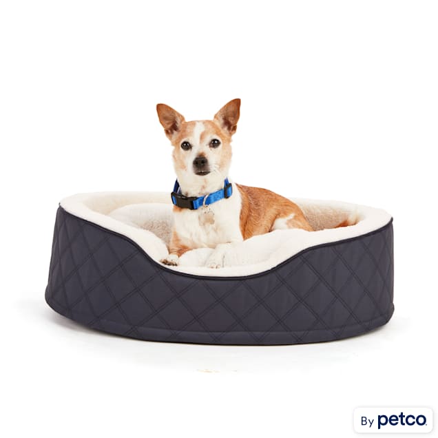 Chew proof cheap dog bed petco