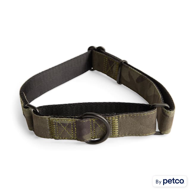 Green martingale dog collar hotsell