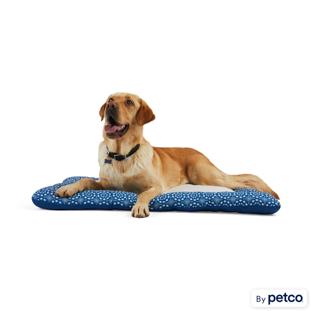 EveryYay Essentials Snooze Fest Blue Tile-Print Cushioned Mat Dog Bed, 40" L X 30" W - Carousel image #1