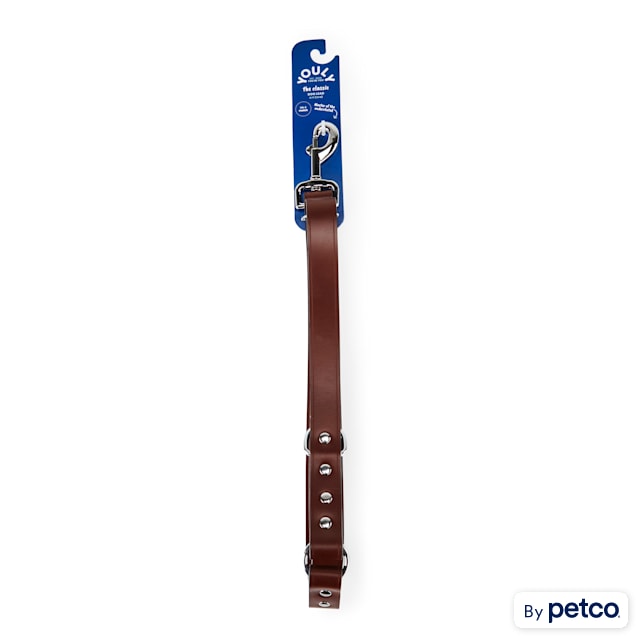 5 foot leather dog leash outlet