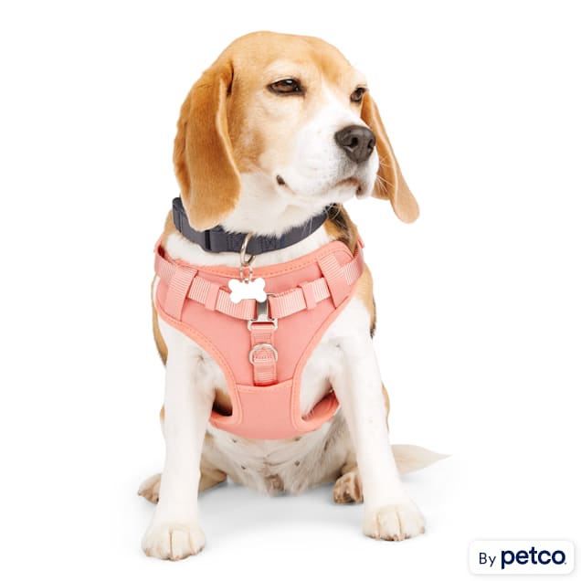 Petco large dog harness new arrivals