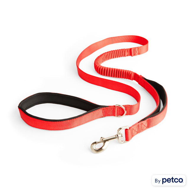 Round Nylon Dog Leash – 5 Feet 