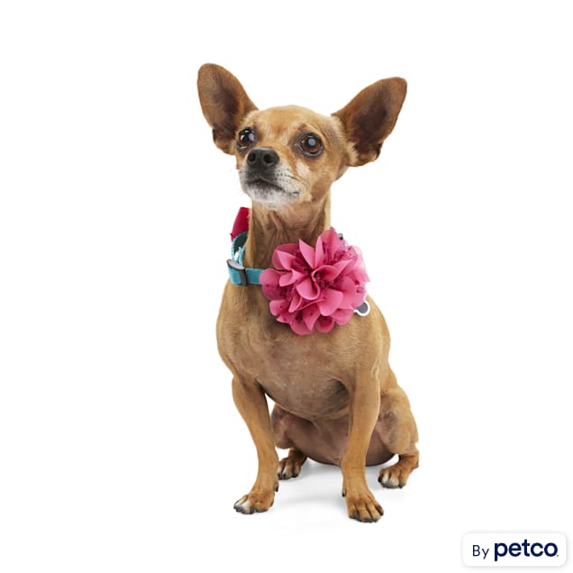YOULY Pink Flower Bow for Dogs Pack of 2