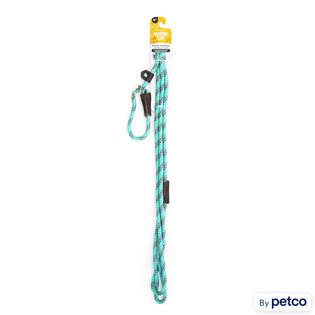 Petco 2025 slip leash