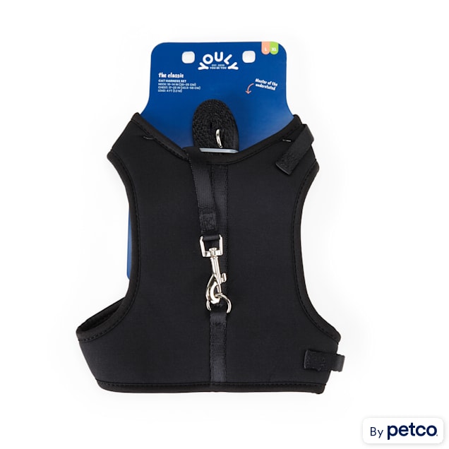 Large cat harness and lead outlet