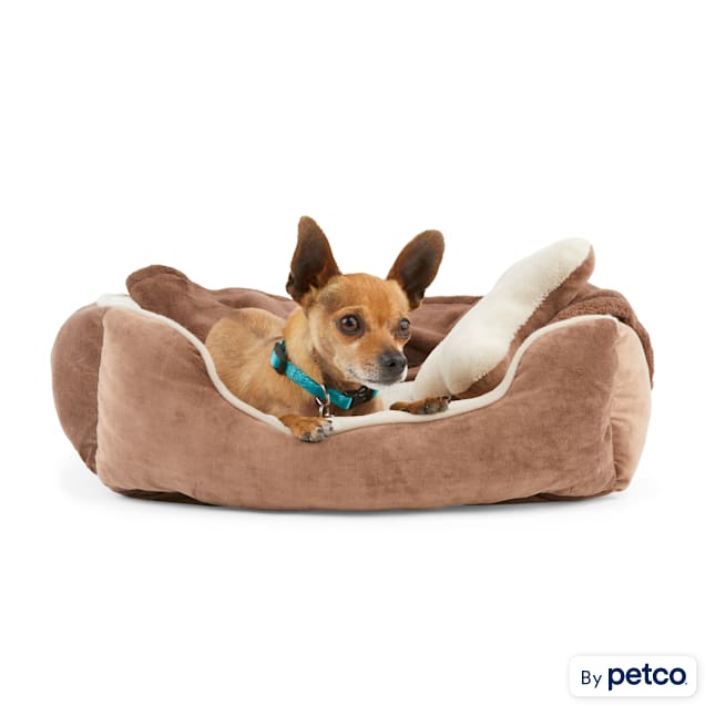 EveryYay Essentials Brown Snooze Fest Dog Bed Bundle, 22" L X 18" W - Carousel image #1
