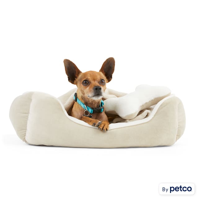 EveryYay Essentials Khaki Snooze Fest Dog Bed Bundle, 22" L X 18" W - Carousel image #1