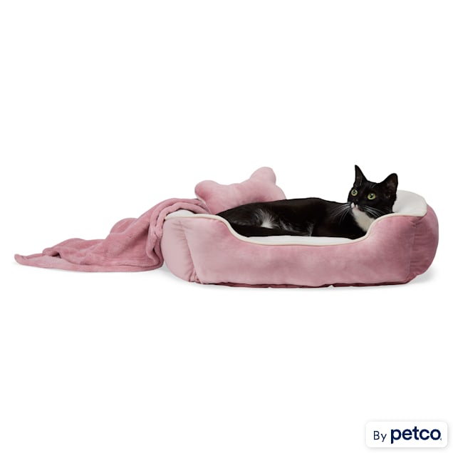 EveryYay Essentials Pink Snooze Fest Dog Bed Bundle, 22" L X 18" W - Carousel image #1