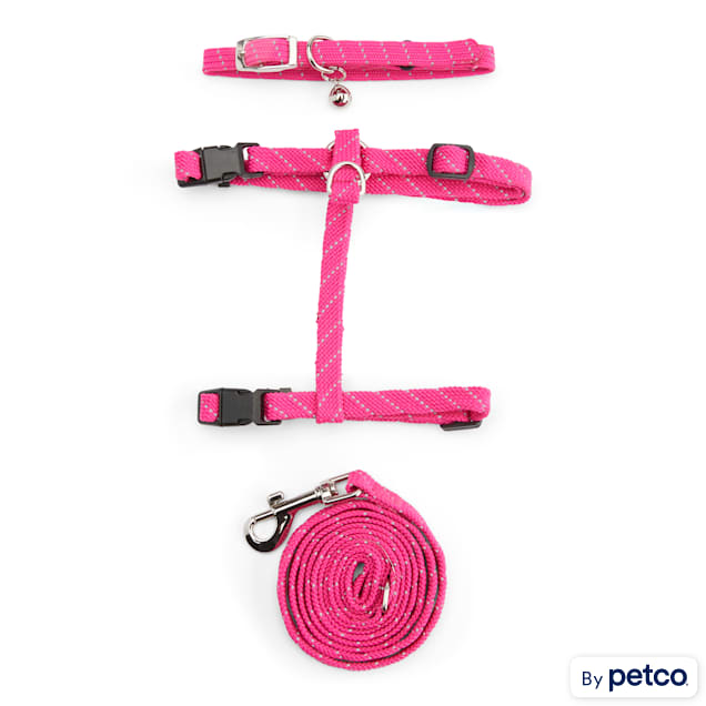 Chewy V Harness & Leash Set