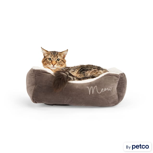 Cat beds petco top
