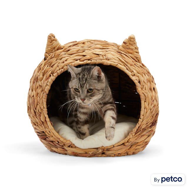 Petco cat blanket sales