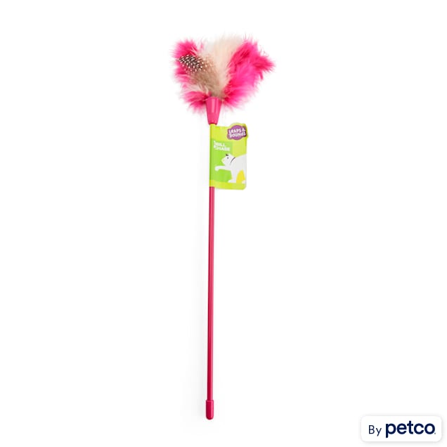 Leaps & Bounds Pink Feather Cat Teaser - Carousel image #1