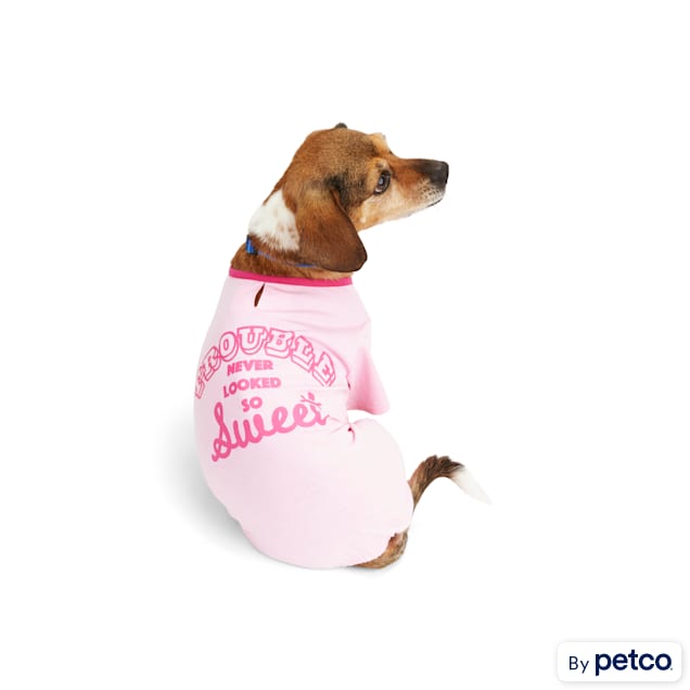 Petco clearance dog pajamas