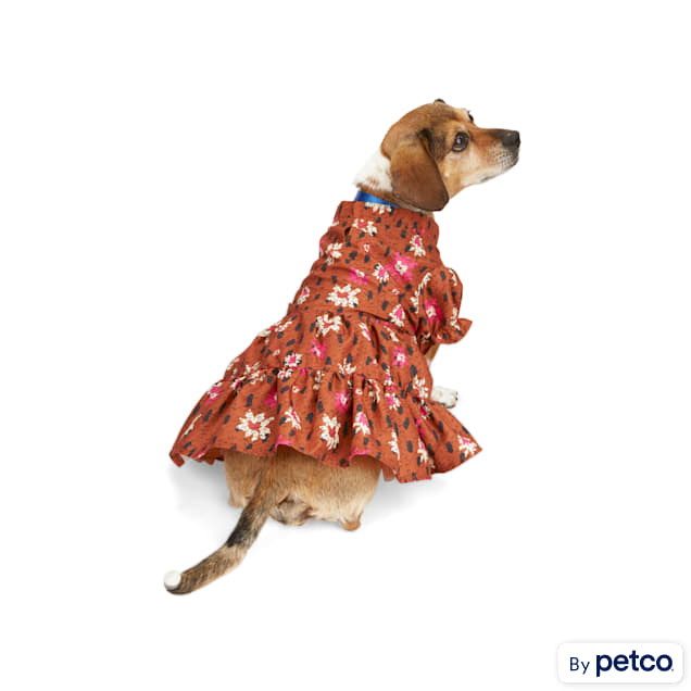 Petco dresses shop