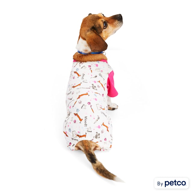 Dog onesies petco best sale