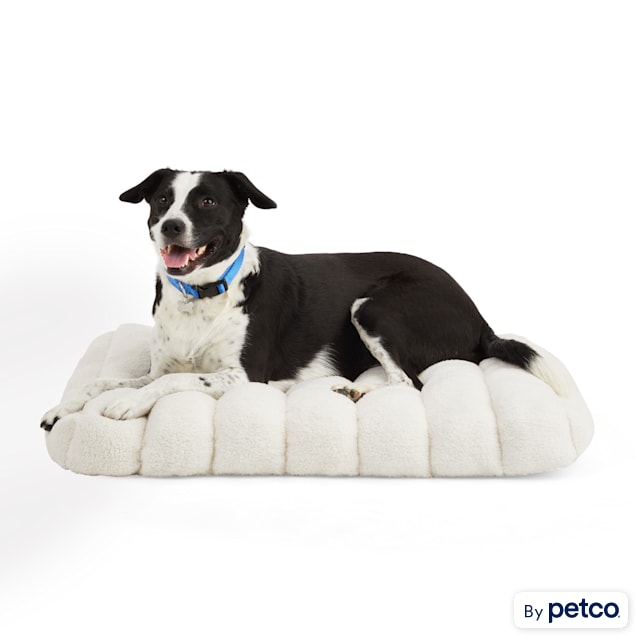 EveryYay Snooze Fest Cream Bed for Dogs, 24" L X 32" W - Carousel image #1