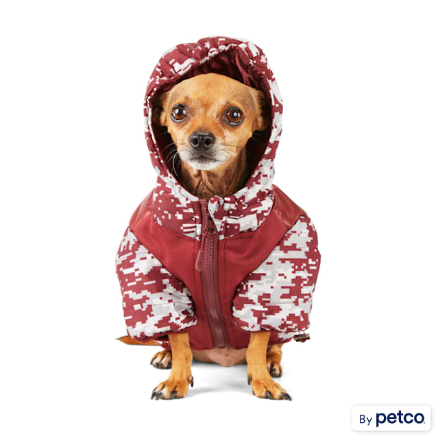 Reddy dog sale puffer jacket